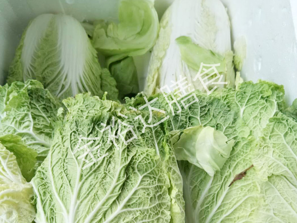如何保证东莞饭堂蔬菜配送的时效性？